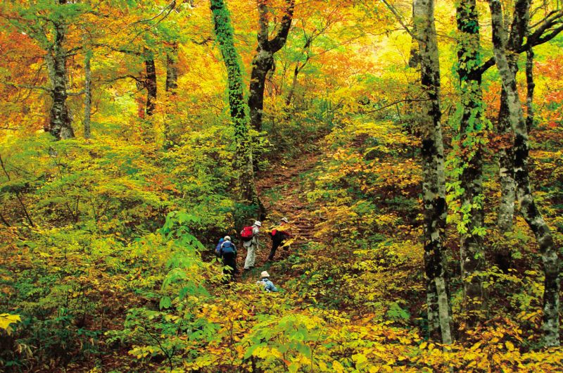 công viên tự nhiên Amo